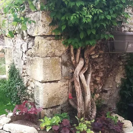 Le Clos De L'aiguillon Bed & Breakfast