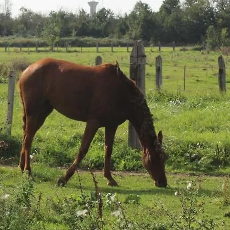 Le Clos De L'aiguillon 4* Herouvillette
