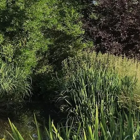 Le Clos De L'aiguillon ベッド・アンド・ブレックファスト Herouvillette