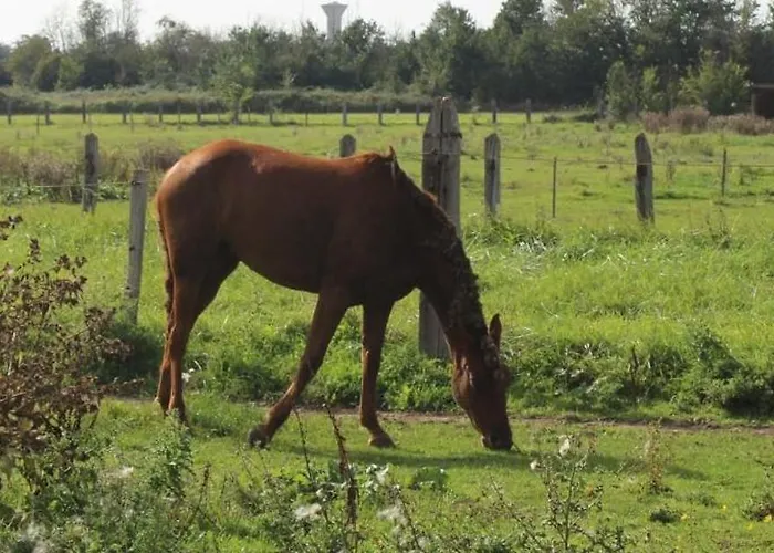 Le Clos De L'aiguillon 4* Herouvillette