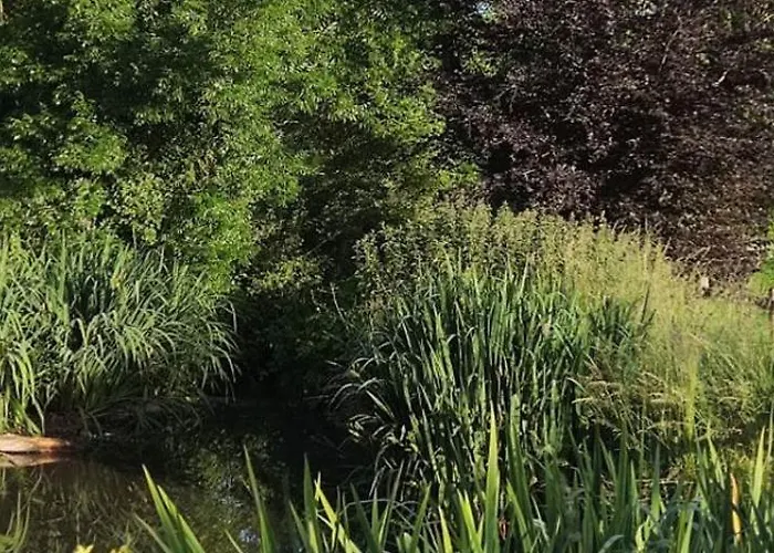 Le Clos De L'aiguillon Bed & Breakfast Herouvillette